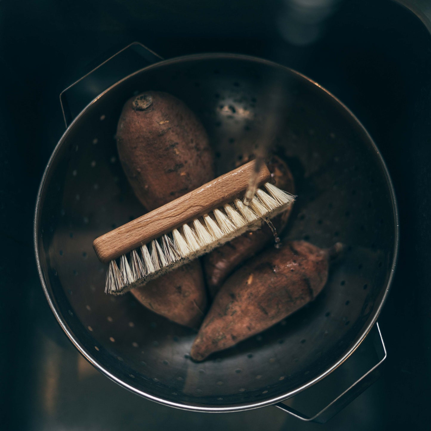 Vegetable Brush - Rectangular