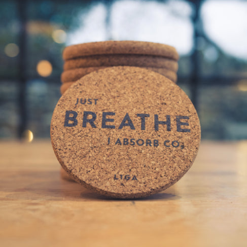 Cork Coaster, Set of 6