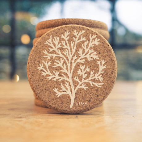 Cork Coaster, Set of 6