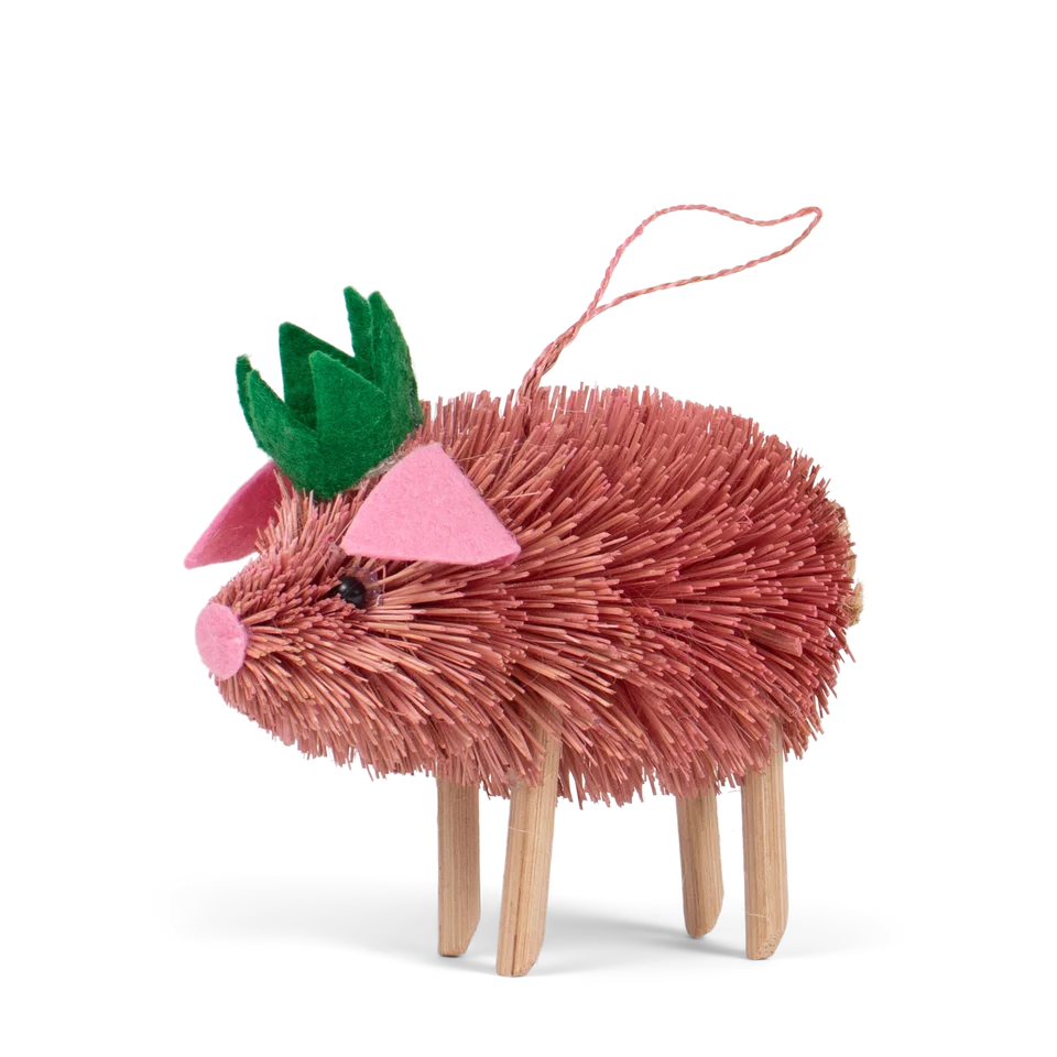 Bristle Pig