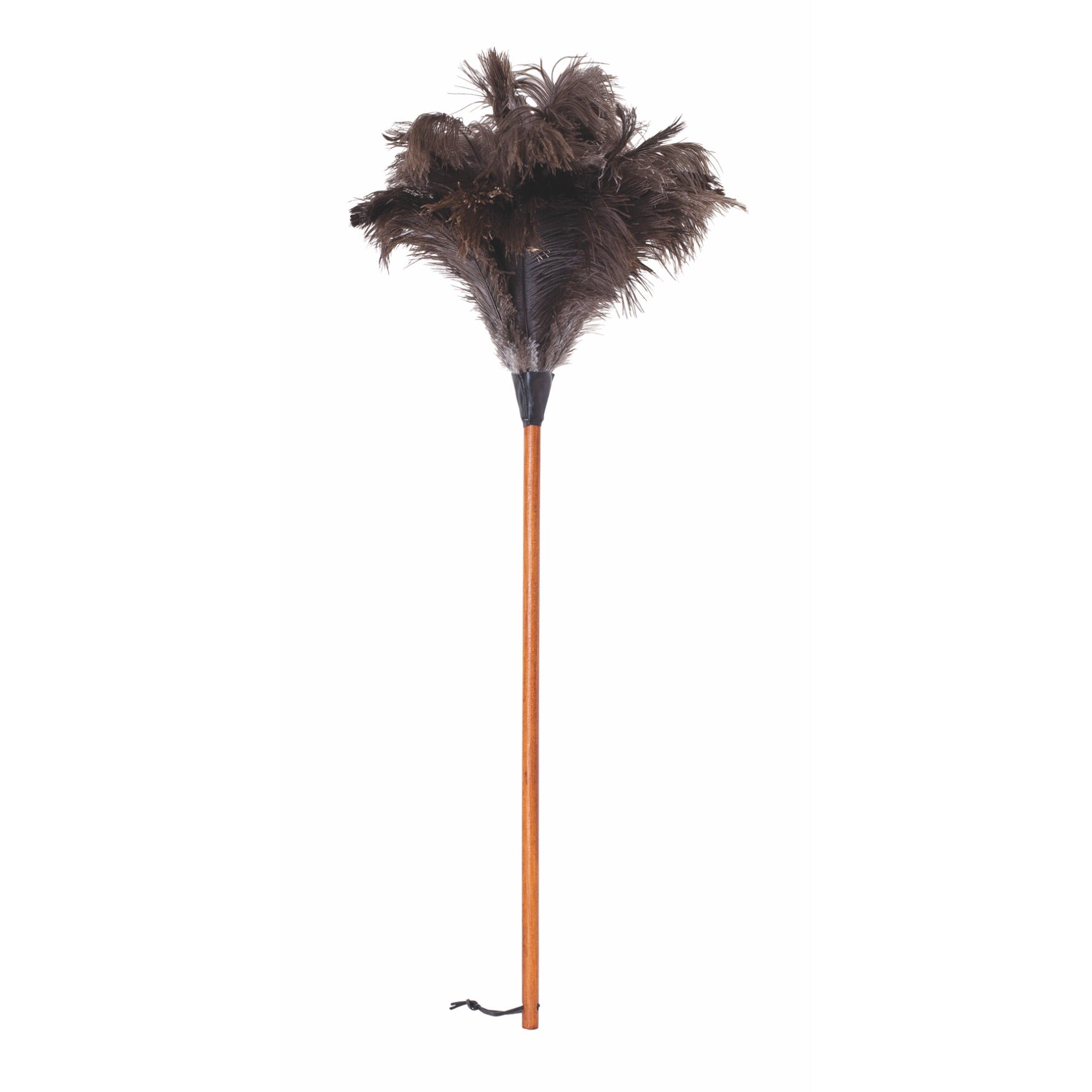 Extra large cheapest soft full head ostrich feather duster clear gloss wood handle 90cm overall ( 36 inch )