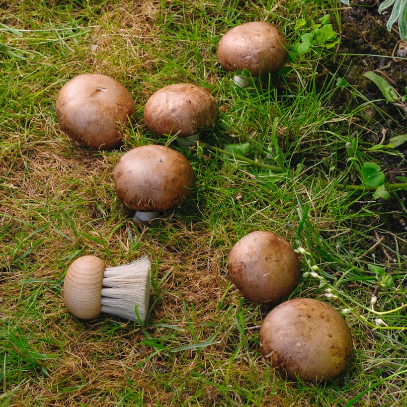 Redecker Round Mushroom Brush