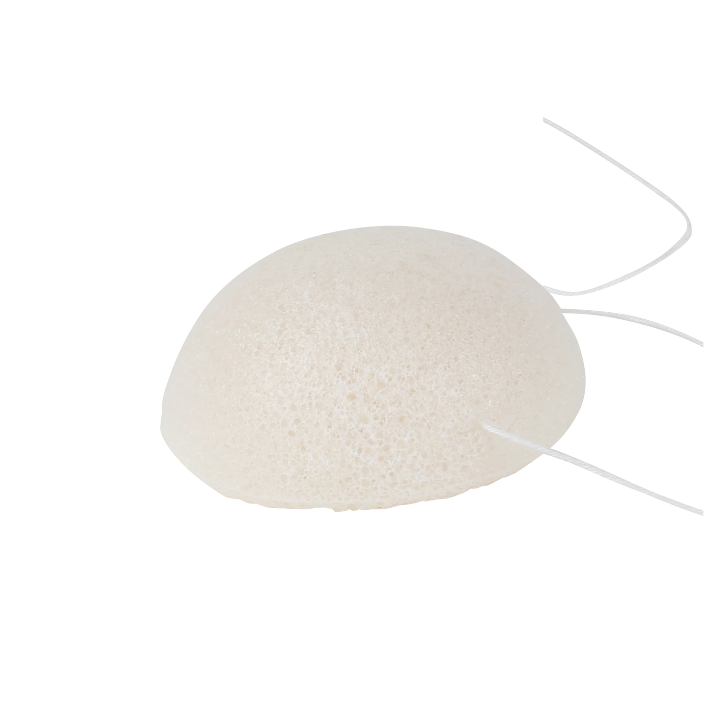 Konjac Face Sponge