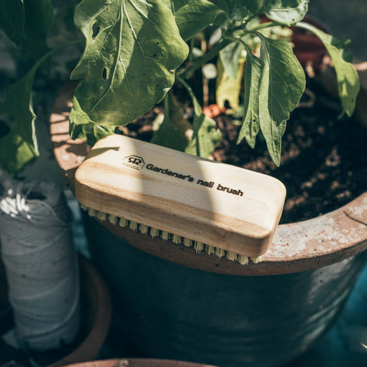 Gardener's Nail Brush