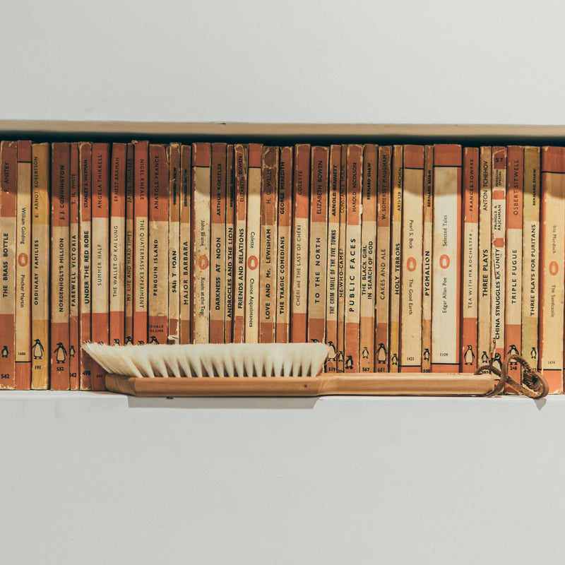Book Dust Brush with Goat Hair & Light Bristle End