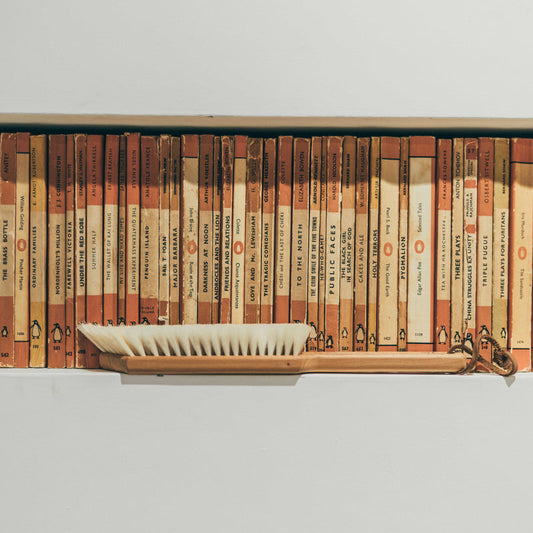 Book Dust Brush with Goat Hair & Light Bristle End