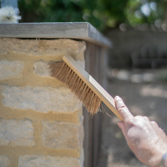 Narrow Hand Brush with Coconut & Tampico Fibres