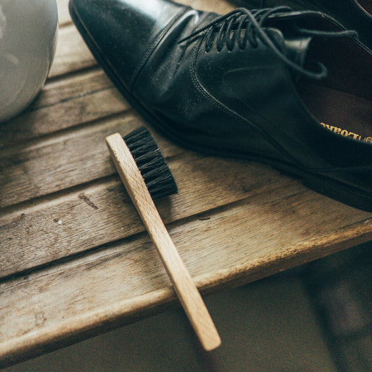 Shoe Polish Applicator