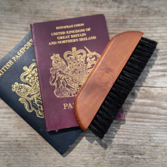 Pocket Clothes Brush