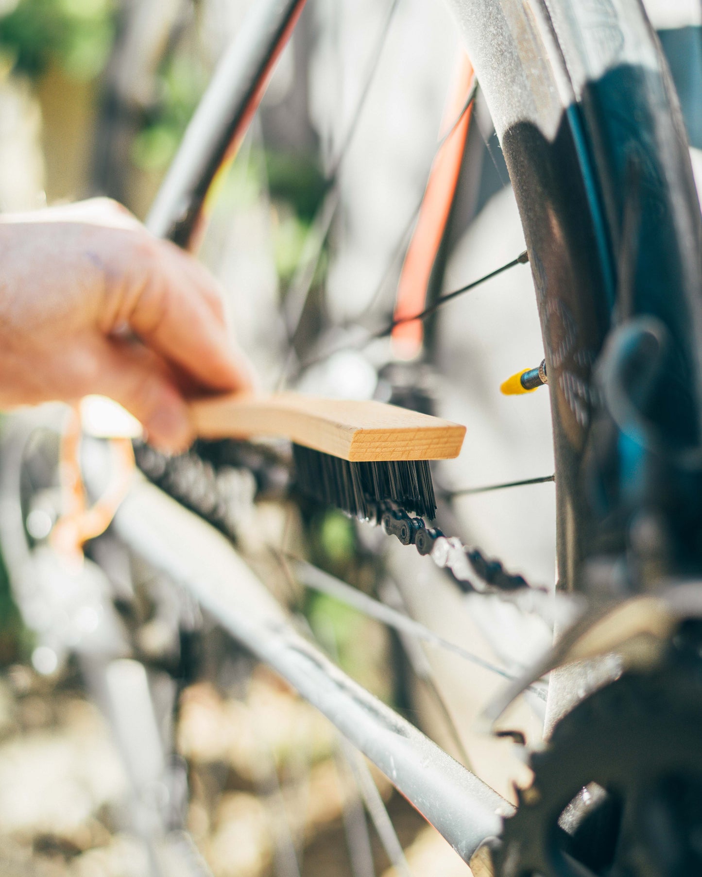 Bicycle Chain Brush