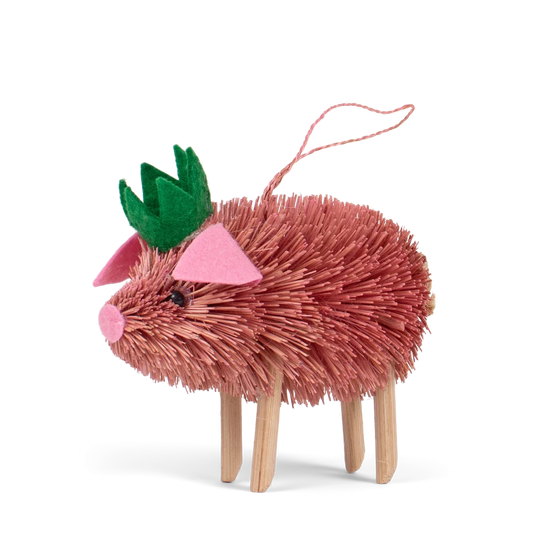 Bristle Pig