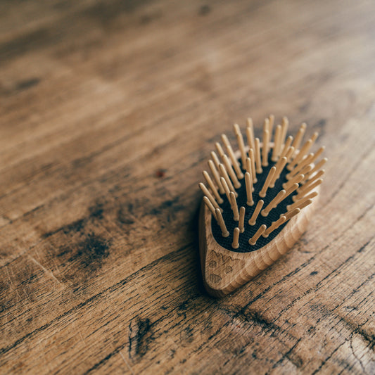 Pocket Hairbrush - Hedgehog