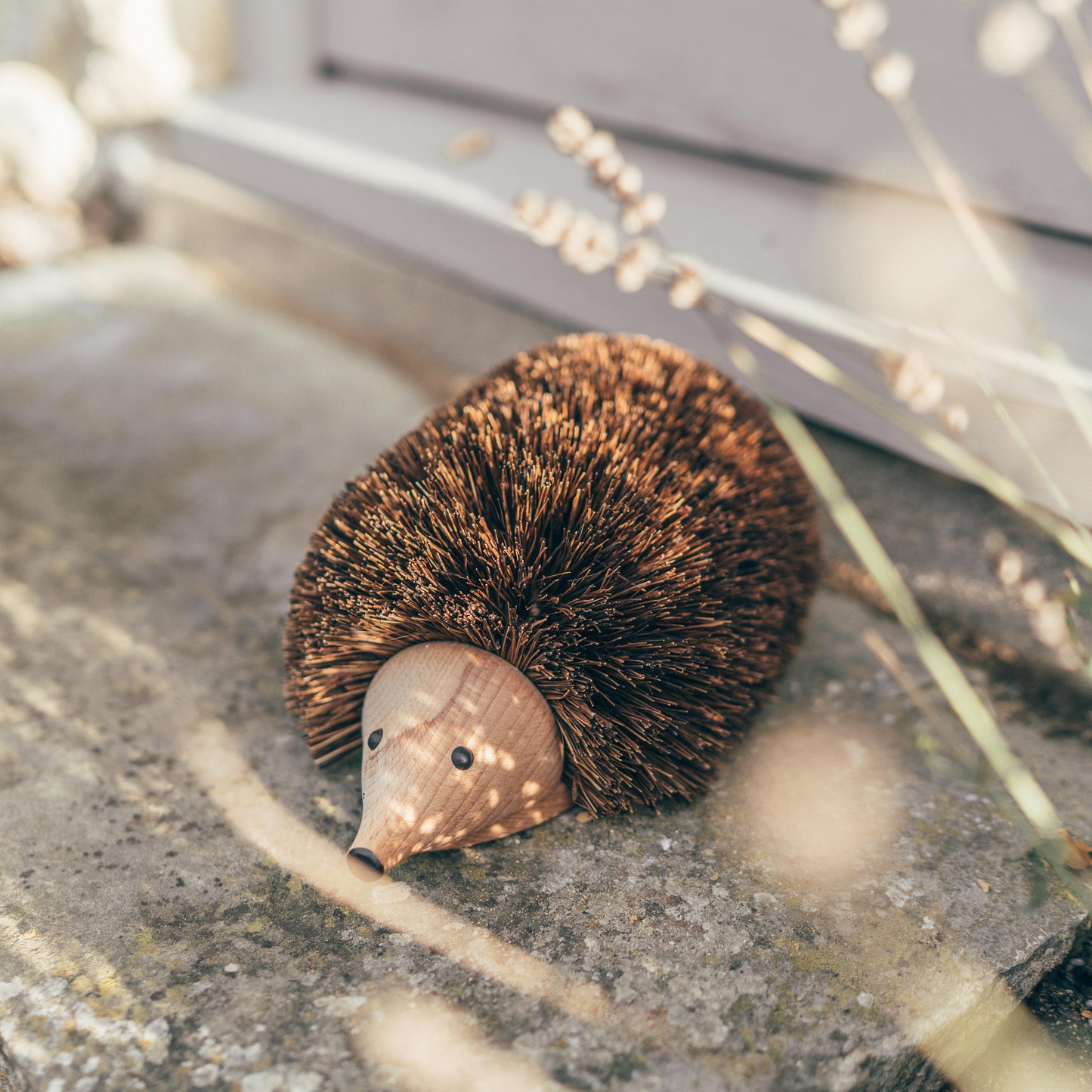 Hedgehog Shoe & Boot Cleaner