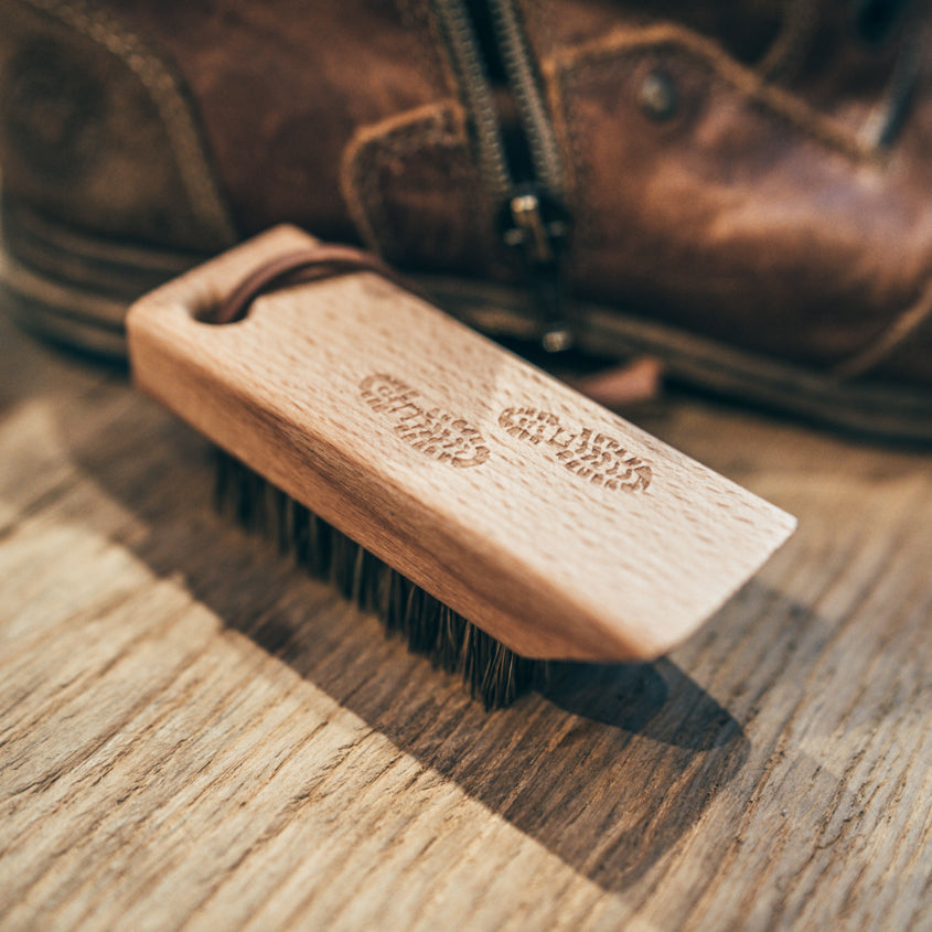 Hiking Shoe Brush