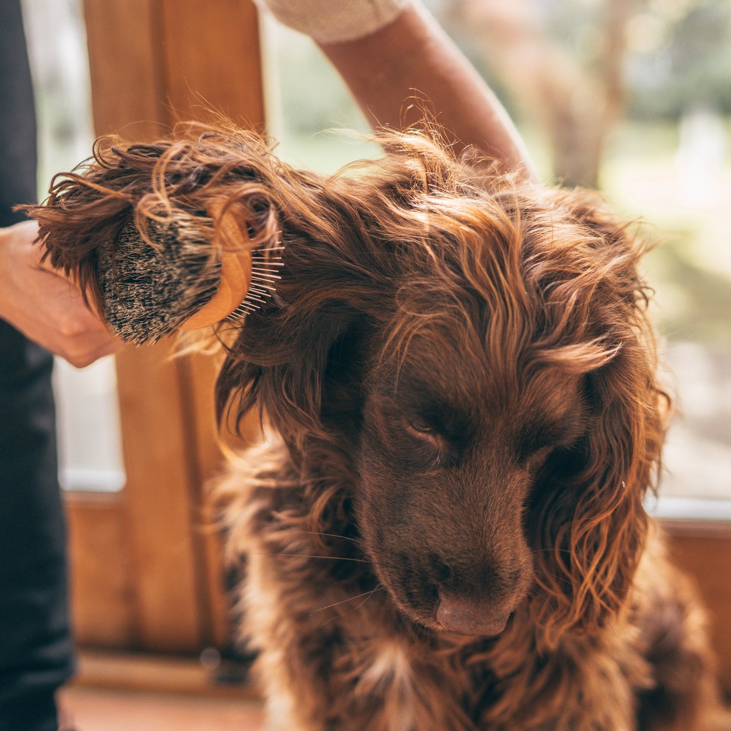 Dog Brush - Double Sided with Stiff Fibre & Metal Pins