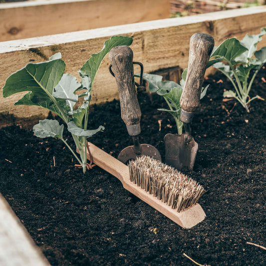 Garden Tool Brush